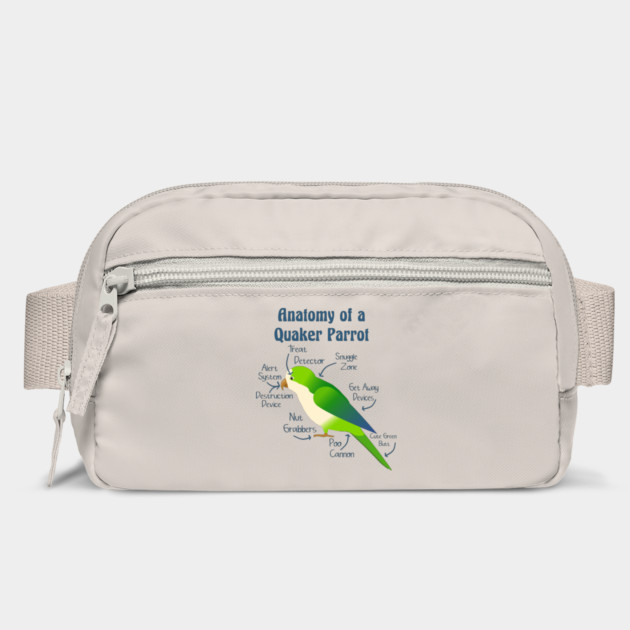 Anatomy of Quaker Parrot Monk Parakeet by Einstein Parrot