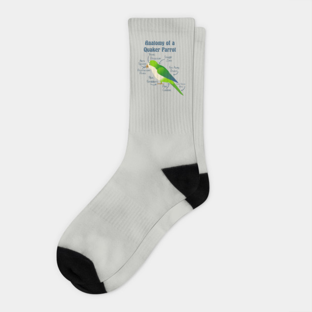 Anatomy of Quaker Parrot Monk Parakeet Socks by Einstein Parrot