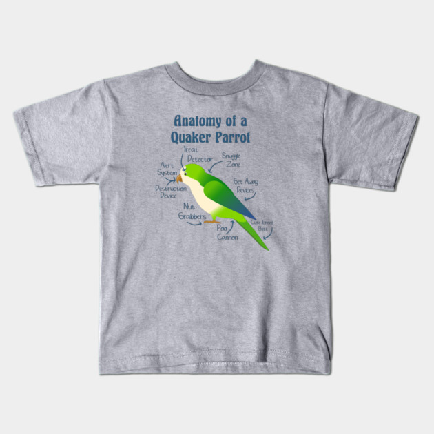 Anatomy of Quaker Parrot Monk Parakeet Kids T-Shirt by Einstein Parrot