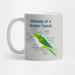 Anatomy of Quaker Parrot Monk Parakeet Mug