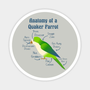 Anatomy of Quaker Parrot Monk Parakeet Magnet