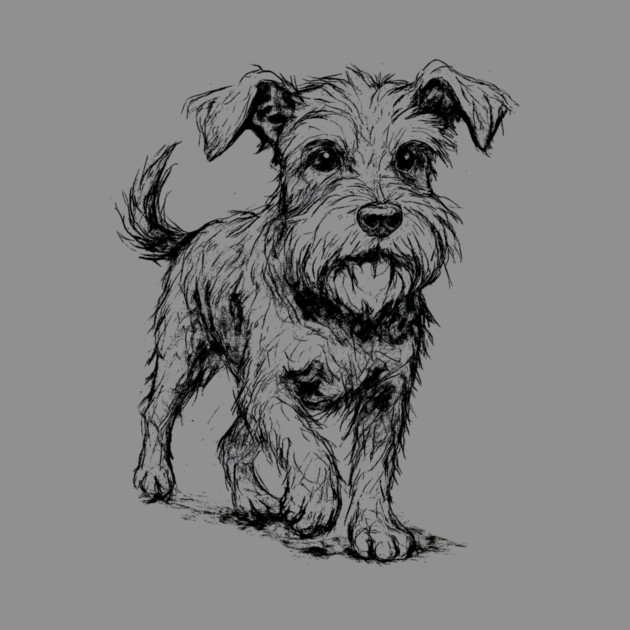 Expressive Schnauzer Dog by DonWillisJrArt