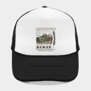 Monterey Bay Aquarium Otter Hat