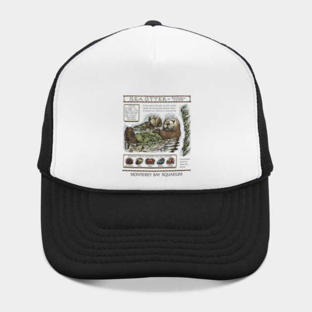 Monterey Bay Aquarium Otter by ArtistTee ⭐⭐⭐⭐⭐