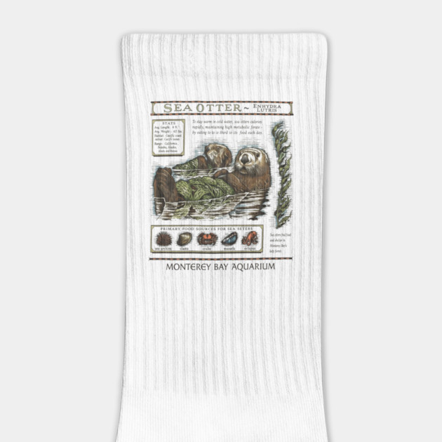 Monterey Bay Aquarium Otter by ArtistTee ⭐⭐⭐⭐⭐