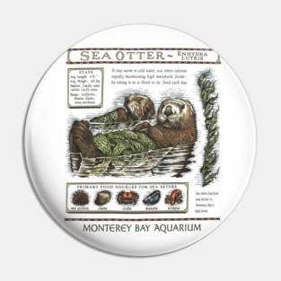 Monterey Bay Aquarium Otter Pin