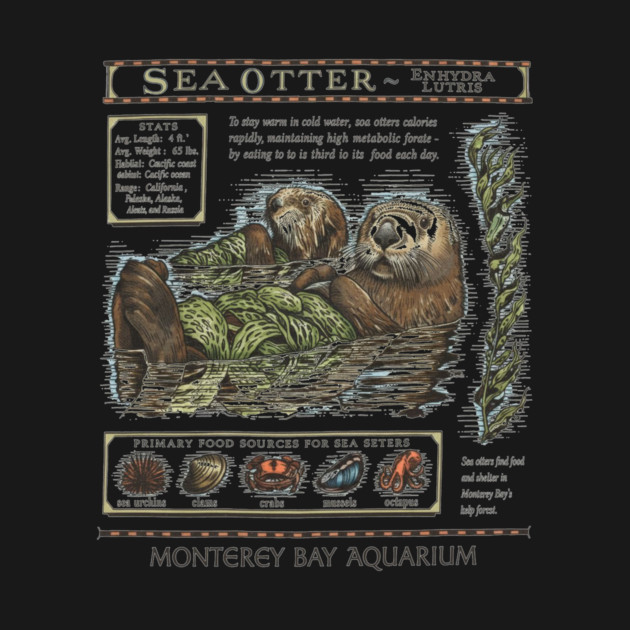 Monterey Bay Aquarium Otter by ArtistTee ⭐⭐⭐⭐⭐