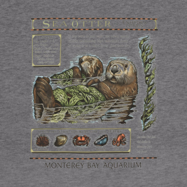 Monterey Bay Aquarium Otter by ArtistTee ⭐⭐⭐⭐⭐
