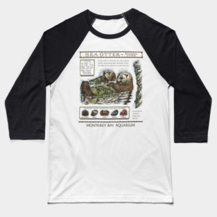 Monterey bay aquarium otter - Sea otter Baseball T-Shirt