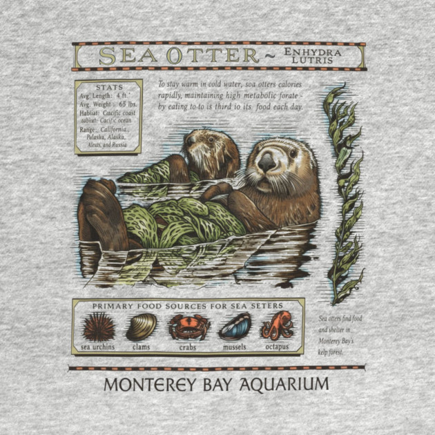 Monterey bay aquarium otter - Sea otter by ArtistTee ⭐⭐⭐⭐⭐