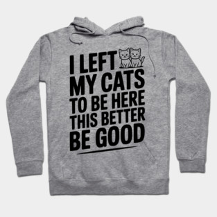 I Left My Cats To Be Here This Better Be Good Hoodie