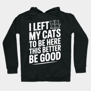 I Left My Cats To Be Here This Better Be Good Hoodie