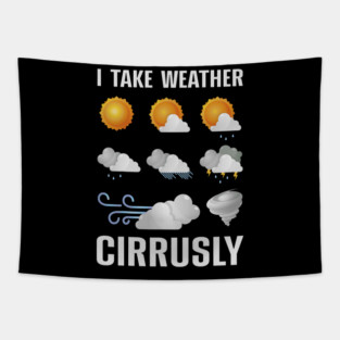 5S Meteorology Meteorologist Meteorological Weather Forecast Forecasting (16) Tapestry