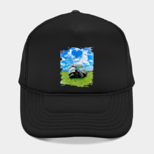 Sloth Pet riding turtle Hat