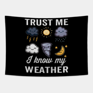 5S Meteorology Meteorologist Meteorological Weather Forecast Forecasting (2) Tapestry