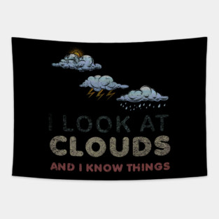 5S Meteorology Meteorologist Meteorological Weather Forecast Forecasting (20) Tapestry