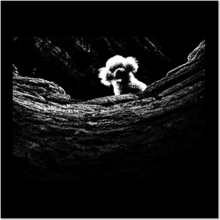 Silence Of The Lambs Dog Posters and Art