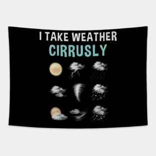 5S Meteorology Meteorologist Meteorological Weather Forecast Forecasting (4) Tapestry
