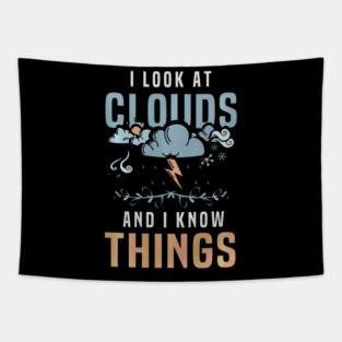 5S Meteorology Meteorologist Meteorological Weather Forecast Forecasting (49) Tapestry