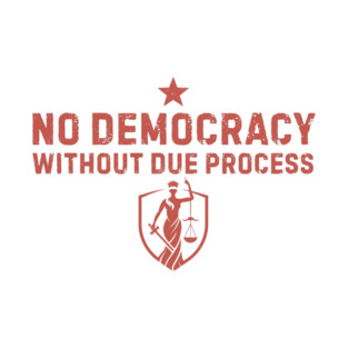No Democracy Without Due Process | Pro-Democracy T-Shirt