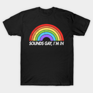 Sounds Gay I'm In Funny Pride Party Vibes T-Shirt