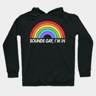 Sounds Gay I'm In Funny Pride Party Vibes Hoodie