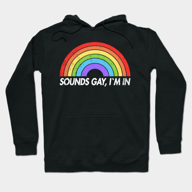 Sounds Gay I'm In Funny Pride Party Vibes Hoodie by Anticorporati