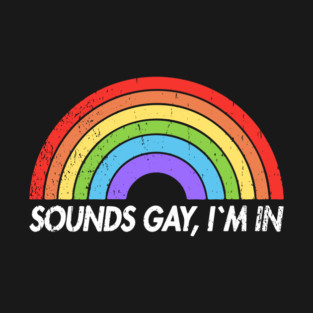 Sounds Gay I'm In Funny Pride Party Vibes T-Shirt