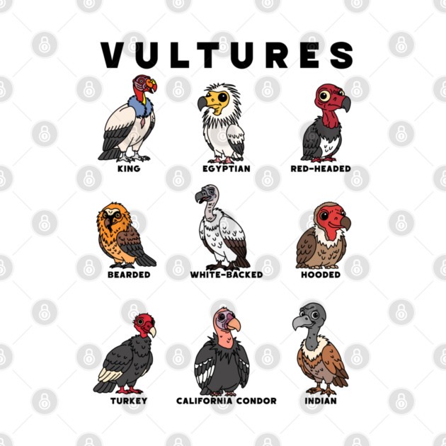 Cartoon Vultures of the Worlds by H. R. Sinclair