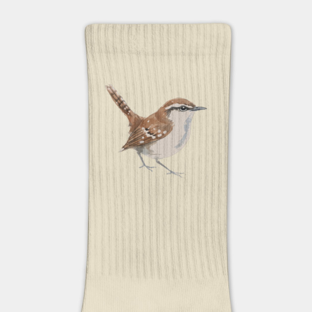 Carolina Wren – Charming Backyard Songbird by DonWillisJrArt