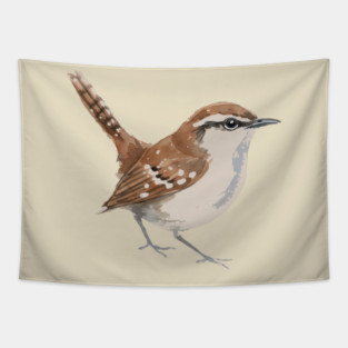 Carolina Wren – Charming Backyard Songbird Tapestry