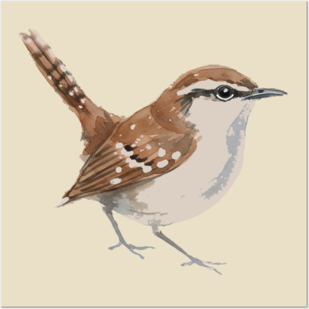 Carolina Wren – Charming Backyard Songbird Wall Art by DonWillisJrArt