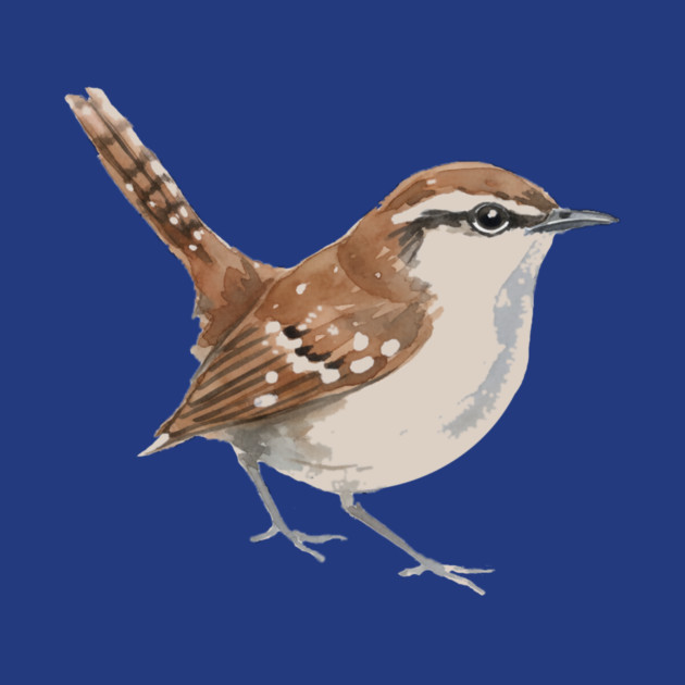 Carolina Wren – Charming Backyard Songbird by DonWillisJrArt