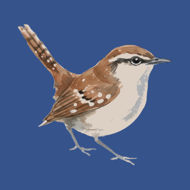 Carolina Wren – Charming Backyard Songbird by DonWillisJrArt