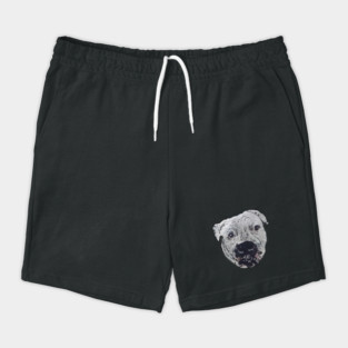 Meatball Shorts