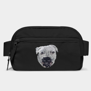 Meatball Bag