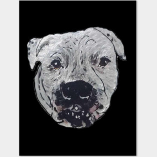 Meatball Posters and Art