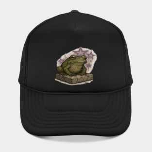 Cosmic Frog Sitting on Stone in Graffiti Style Hat