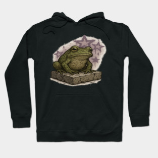 Cosmic Frog Sitting on Stone in Graffiti Style Hoodie