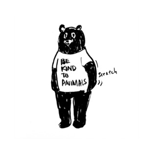 Be kind to animals bear