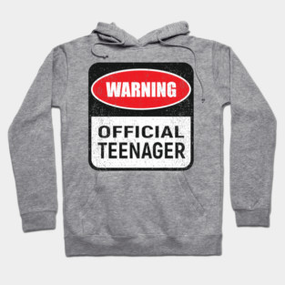 Warning Official Teenager Rebel Vibes Birthday Mode Hoodie