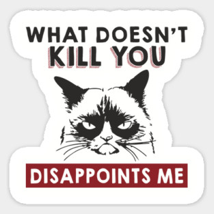What Doesn't Kill You Disappoints Me Mean Attitude Sticker