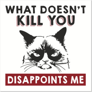 What Doesn't Kill You Disappoints Me Mean Attitude Posters and Art