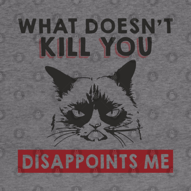 What Doesn't Kill You Disappoints Me Mean Attitude by Anticorporati