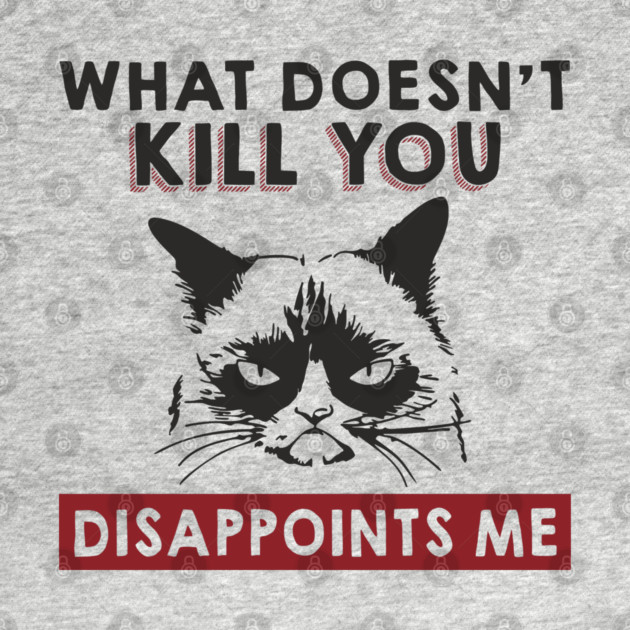 What Doesn't Kill You Disappoints Me Mean Attitude by Anticorporati