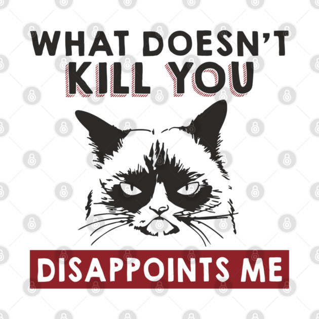 What Doesn't Kill You Disappoints Me Mean Attitude by Anticorporati