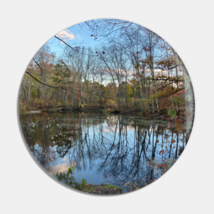 Pond in the Forest Pin