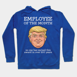 Political Humor Hoodie