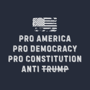 Pro America, Pro Democracy, Pro Constitution, Anti Trump | Patriotic Protest T-Shirt