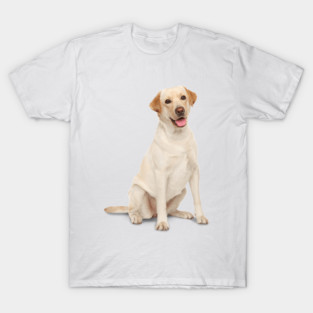 labrador retriever fetch T-Shirt